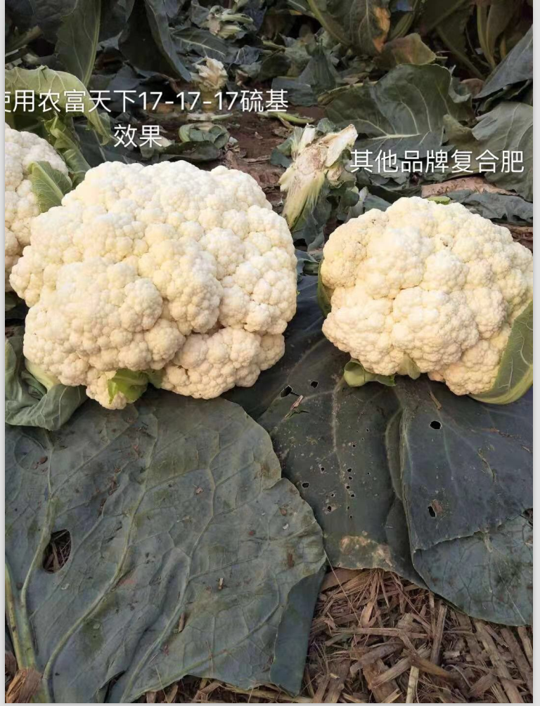 微信图片_20181120101737