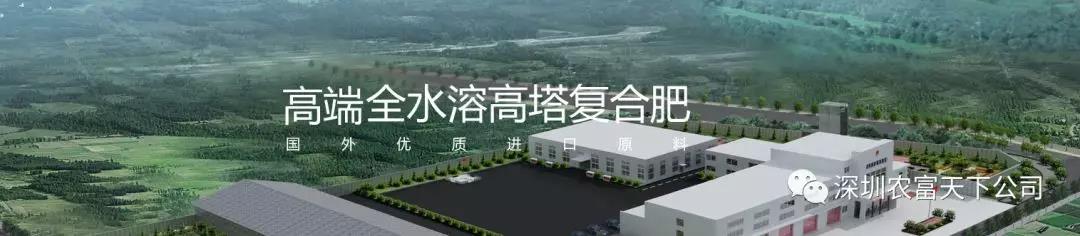微信图片_20180820165855