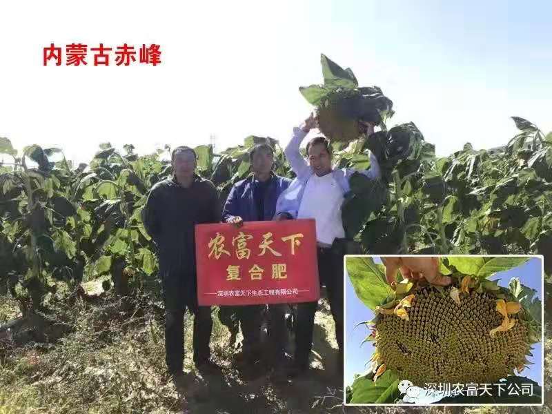 微信图片_201910010947121