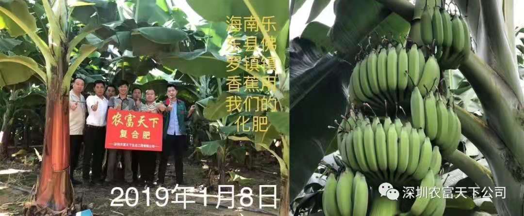 微信图片_201910010947122