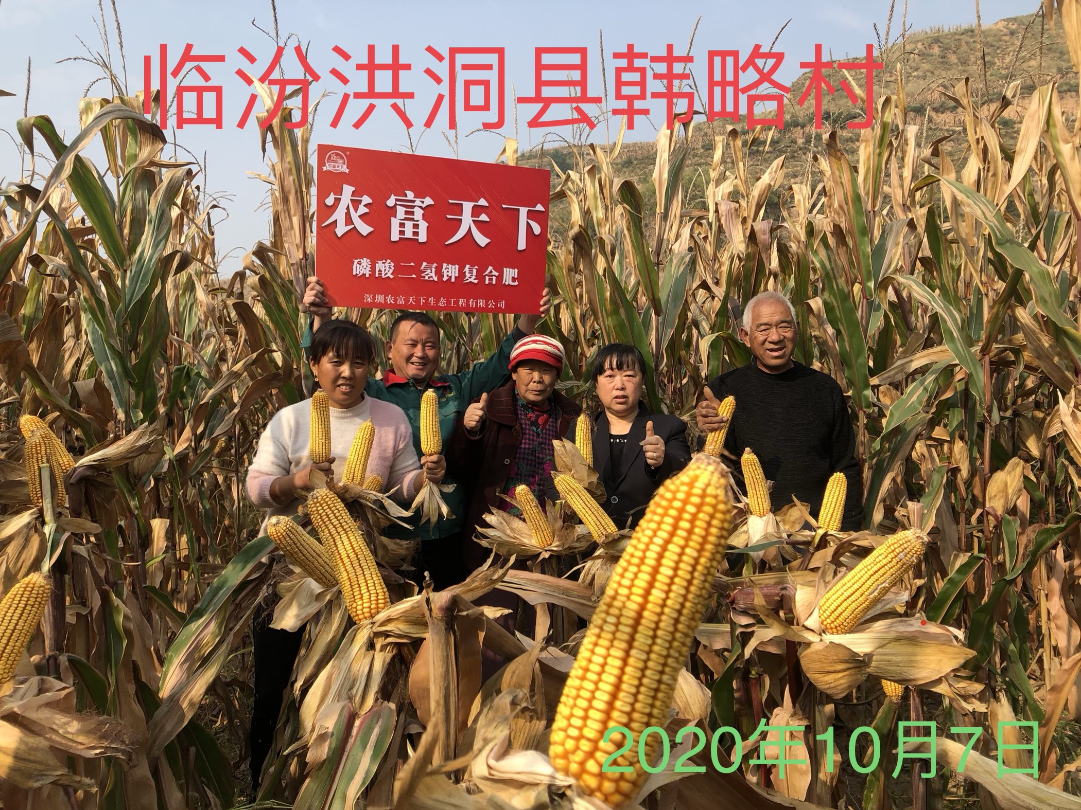 临汾玉米
