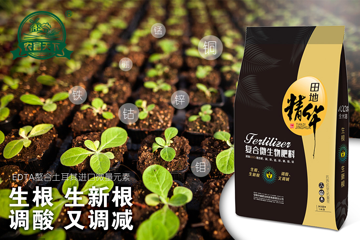 田地精华微生物菌肥