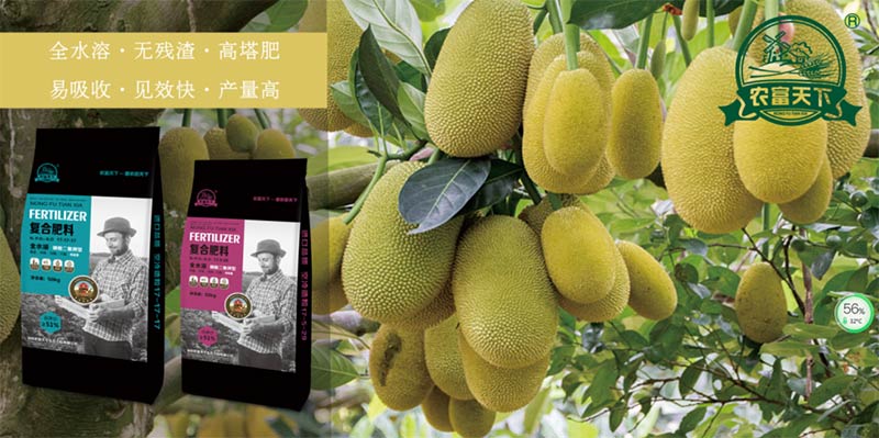 农富天下果树复合肥料